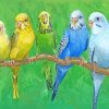 Budgie Birds On Stick paint by numbers