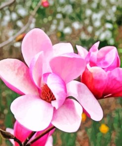 Chinese Magnolia Flowers paint by numbers