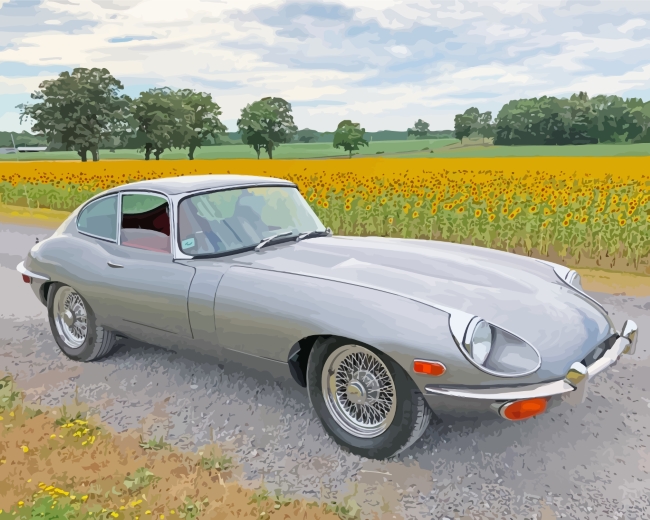 Classic Jaguar Car paint by numbers