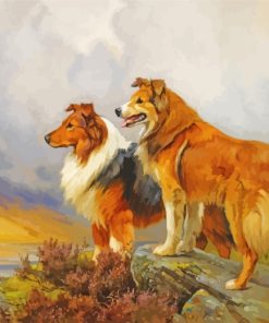 Aesthetic Collie Dogs paint by numbers