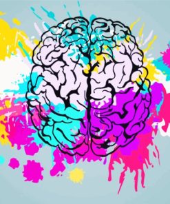 Colorful Splash Human Brain paint by numbers