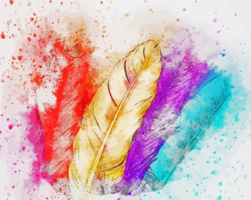 Splash Colorful Feather paint by numbers