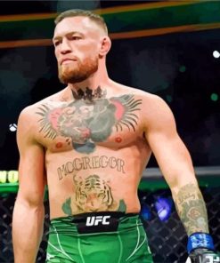 Conor Mcgregor Boxer paint by numbers