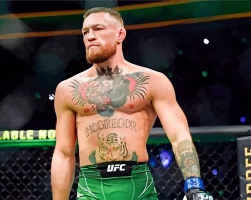 Conor Mcgregor Boxer paint by numbers