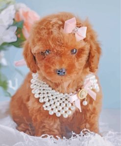 Cute Brown Poodle paint by numbers