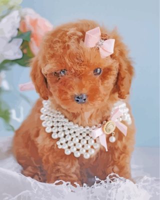 Cute Brown Poodle paint by numbers