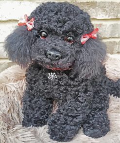 Aesthetic Black Poodle paint by numbers