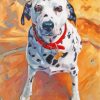 Dalmatian In Pool paint by numbers