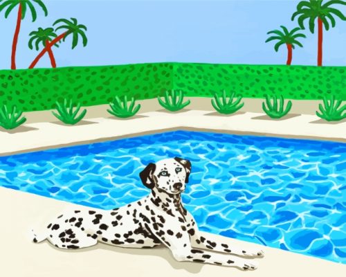 Dalmatian In Pool paint by numbers