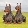 Doberman Dogs paint by numbers