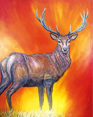 Elk Animal paint by numbers