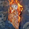 Fire Owl Bird paint by numbers