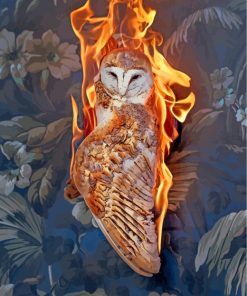 Fire Owl Bird paint by numbers