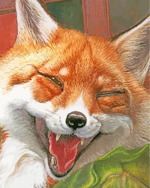 Face Fox Animal paint by numbers