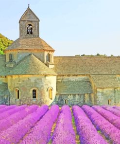 France Provence Lavender paint by numbers