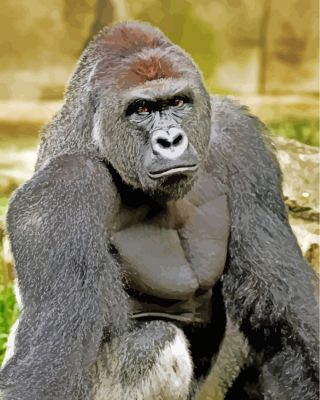 Gorilla Animal Paint by Numbers
