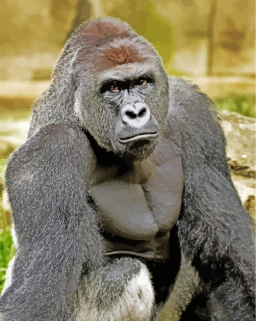 Gorilla Animal Paint by Numbers