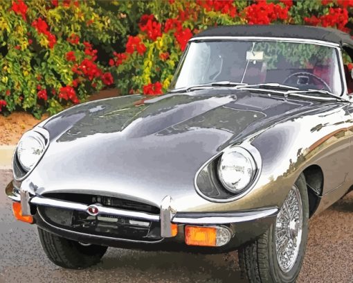 Grey Retro Jaguar Car paint by numbers