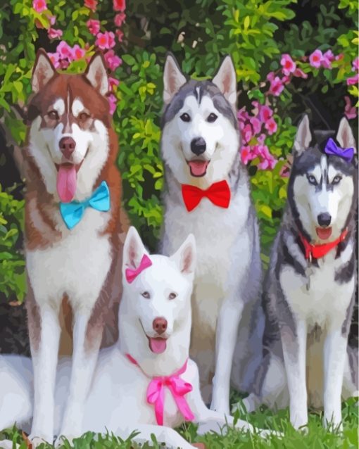 Huskies With Bow Tie paint by numbers