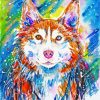 Colorful Husky Dog Art paint by numbers