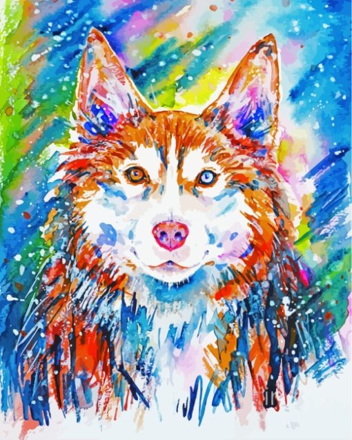 Colorful Husky Dog Art paint by numbers