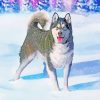 Huskies Dog In Snow paint by numbers