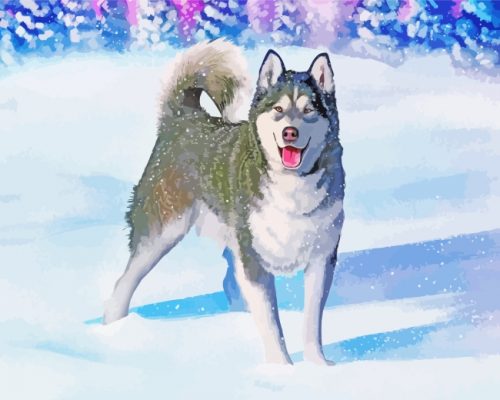 Huskies Dog In Snow paint by numbers