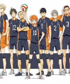 Karasuno Characters paint by numbers