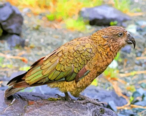 Aesthetic Kea Bird paint by numbers