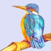 Kingfisher Bird Art paint by numbers