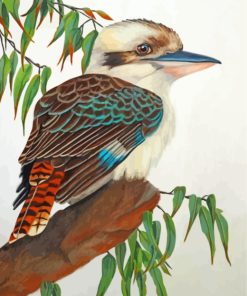 Kookaburra Bird On Branch paint by numbers