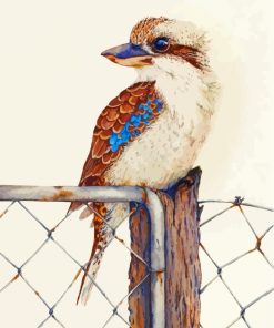 Kookaburra Bird On Fence paint by numbers