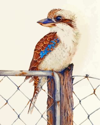 Kookaburra Bird On Fence paint by numbers