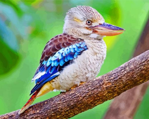 Aesthetic Kookaburra Bird paint by numbers