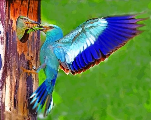 Blue Kraska Birds paint by numbers