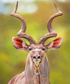 Kudu Animal With Horns paint by numbers