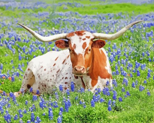 Aesthetic Longhorn Animal paint by numbers