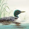 Loon In Water Art paint by numbers