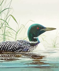 Loon In Water Art paint by numbers