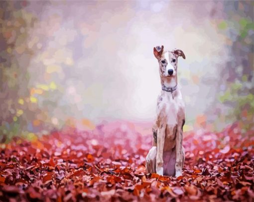 Lurcher Puppy Dog paint by numbers