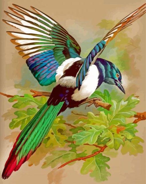 Aesthetic Magpie Bird paint by numbers