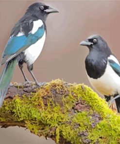 Magpies On Branch paint by numbers