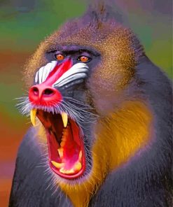 Mandrill Animal paint by numbers