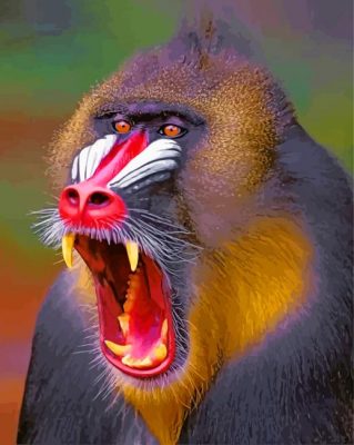 Mandrill Animal paint by numbers