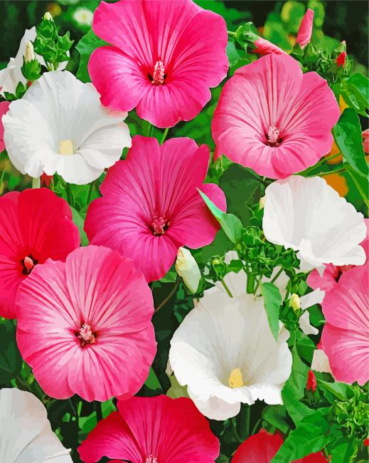 Mauve Flowers paint by numbers