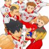 Nekoma Team Anime paint by numbers