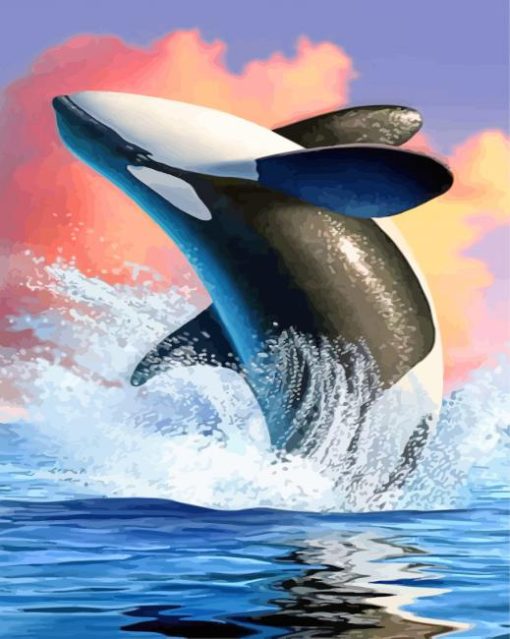 Orca Art paint by numbers