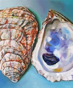 Oyster Shells paint by numbers