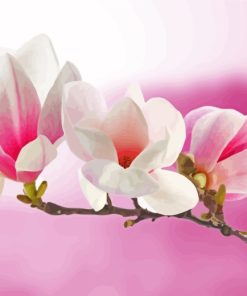 Pink White Magnolia paint by numbers