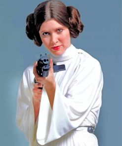 Princess Leia Organa paint by numbers